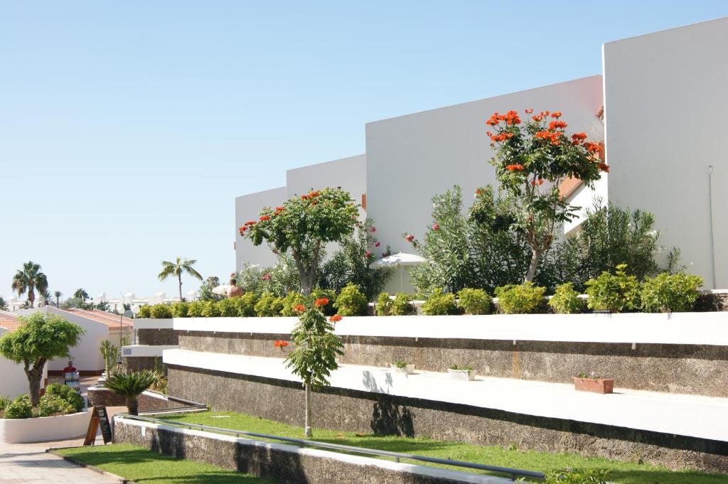 פלאייה דה לאס אמריקס Island Village מראה חיצוני תמונה