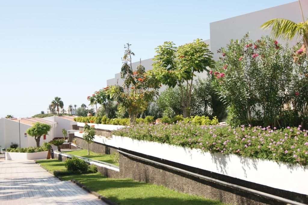 פלאייה דה לאס אמריקס Island Village מראה חיצוני תמונה