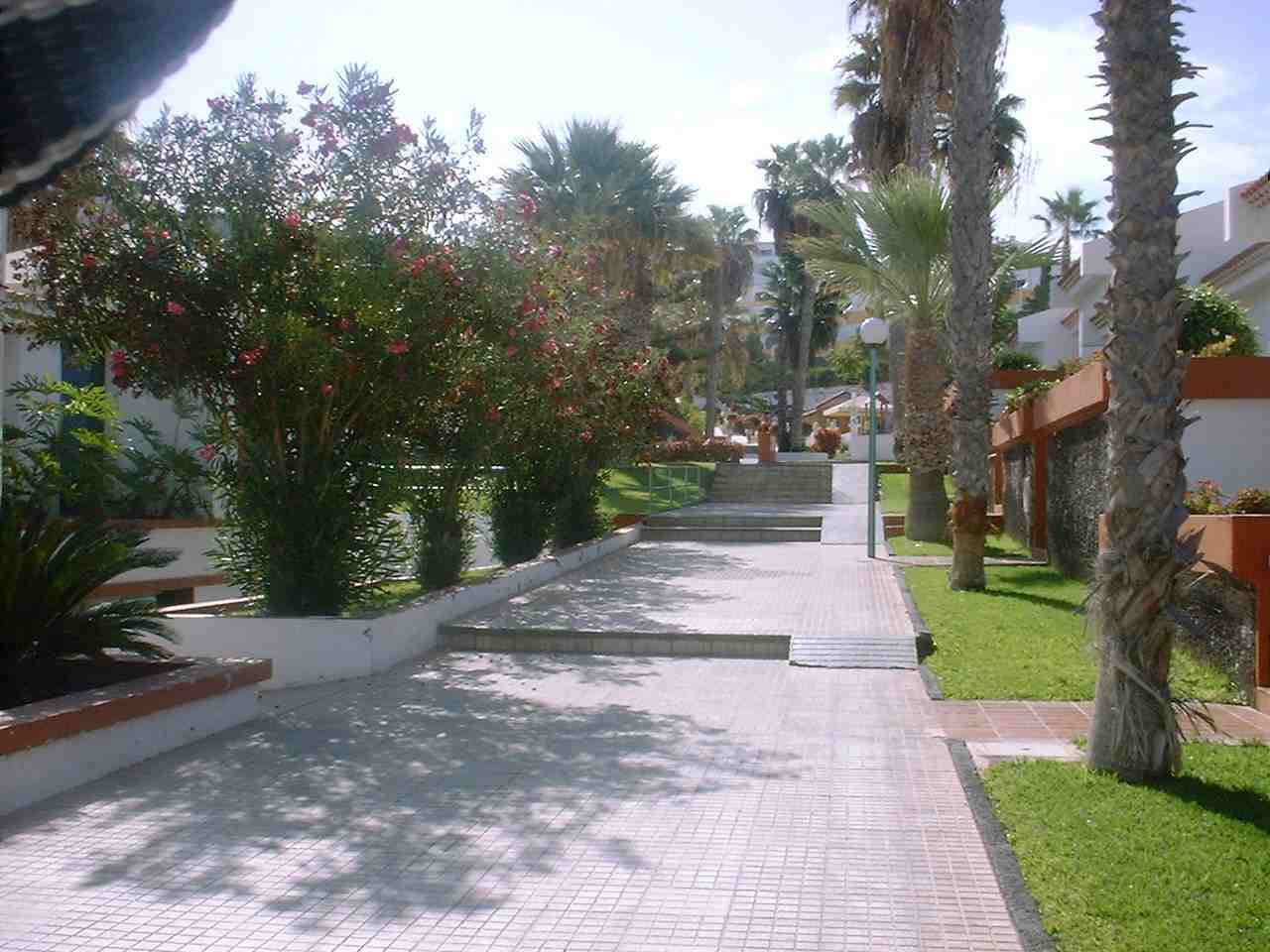 פלאייה דה לאס אמריקס Island Village מראה חיצוני תמונה
